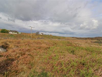 Picture 25
